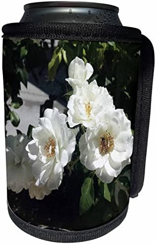 Триизмерна снимка на букета сред красиви бели рози - Опаковки за бутилки-охладител в банката (cc_352282_1)