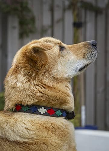 Кожен Нашийник за Кучета | Истински Регулируем Нашийник за Кучета Ръчно изработени с Месингова катарама | Естествена
