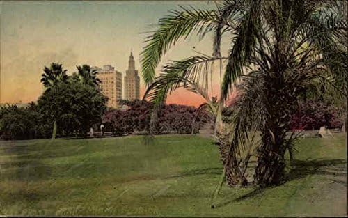 Парк Бэйфронт и гледки към силуета на Маями, Флорида Оригиналната антични картичка