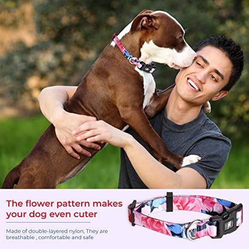 Фея Dog - Нашийник за кучета с Красиви розово-сини модел и D-образен пръстен, Здрав, Регулируеми за Малки, средни и Големи кучета