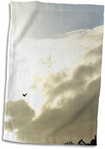 Кърпи 3dRose Florene Clouds - Синьо-Бяла Птица, Небесен корици (twl-35250-1)